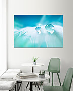 Obraz Vtáčie pierko s kvapkou vody 1474